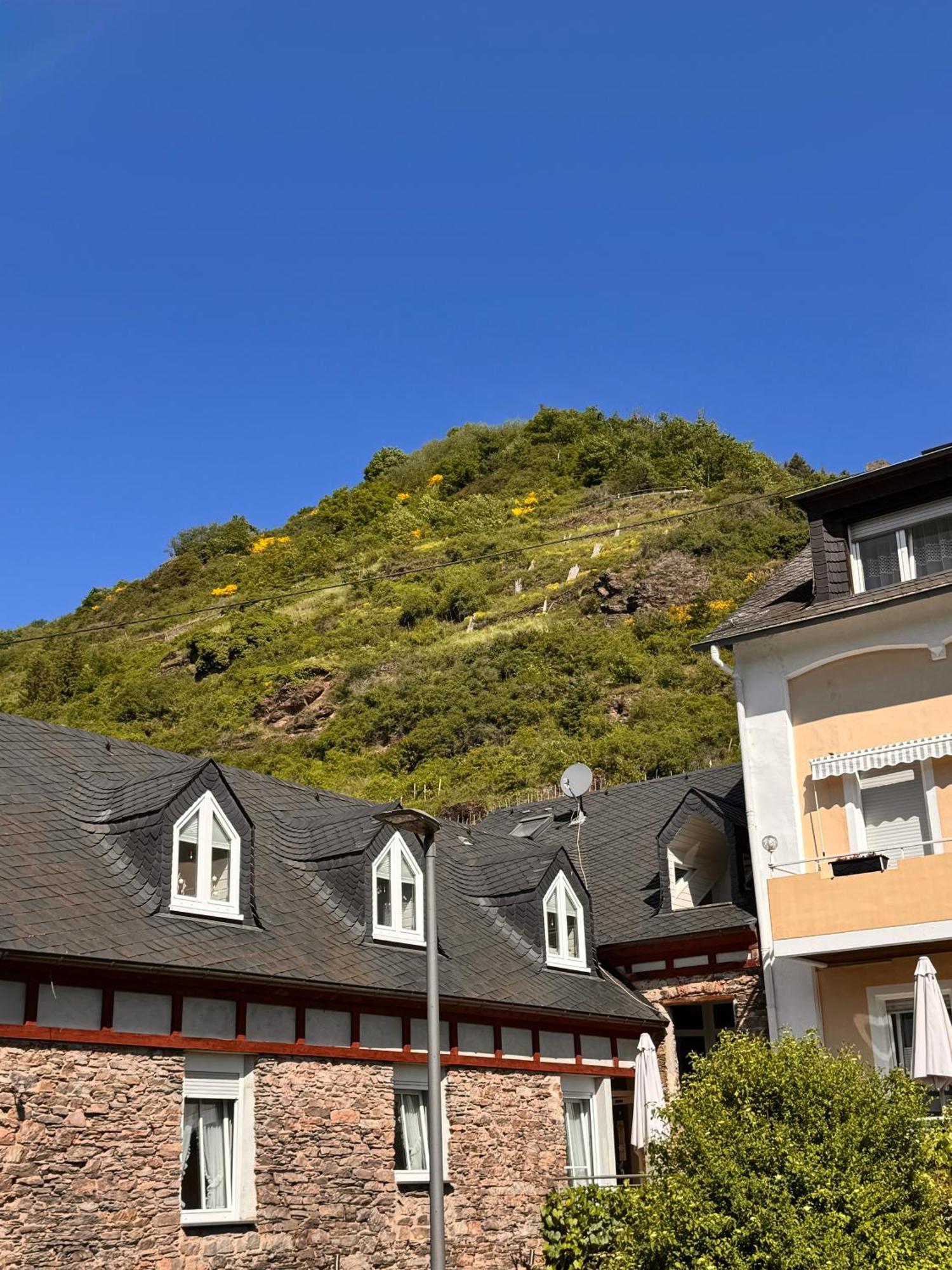 Ferienweingut Rudorfer Hotel Valwig Værelse billede