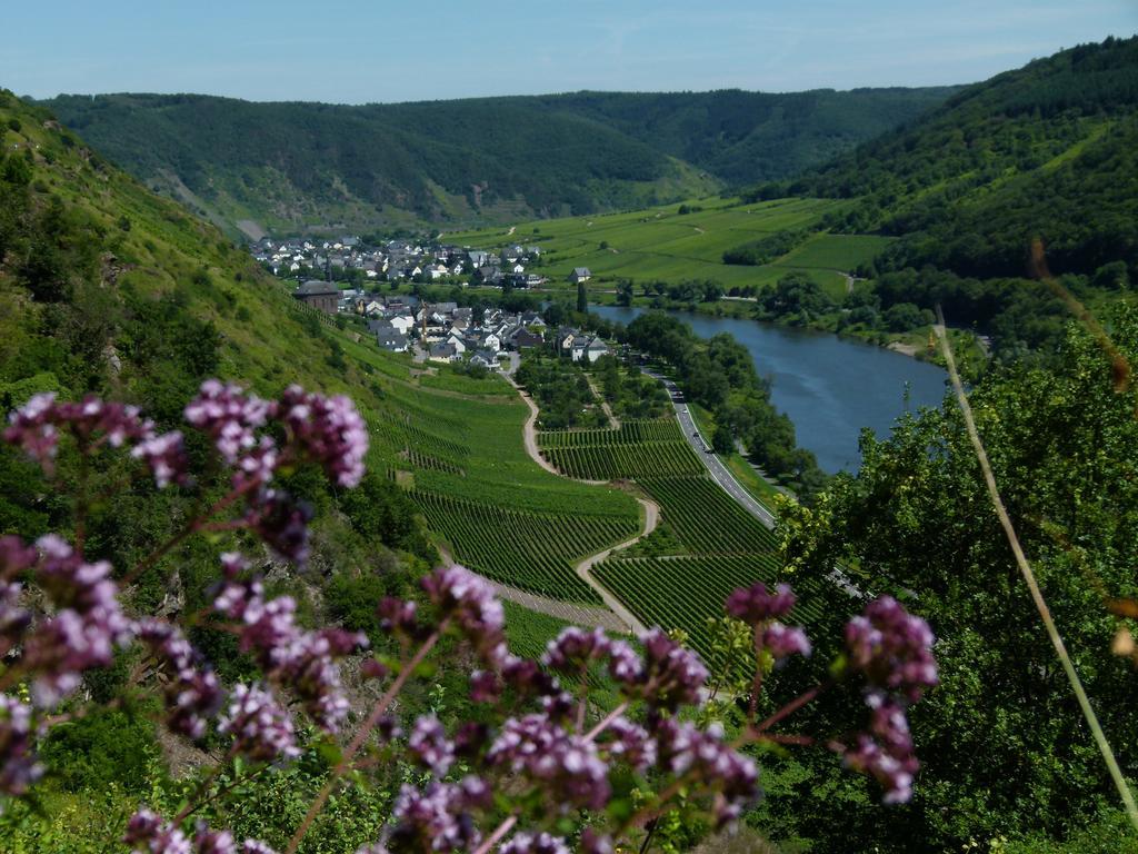 Ferienweingut Rudorfer Hotel Valwig Eksteriør billede